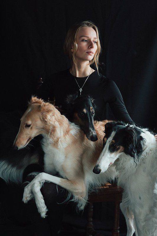 borzoi *** фото превью