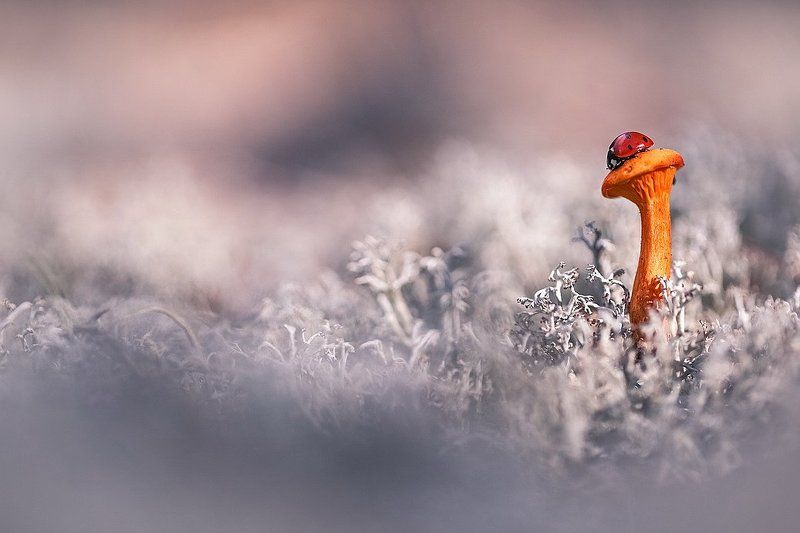 Холодно фото превью