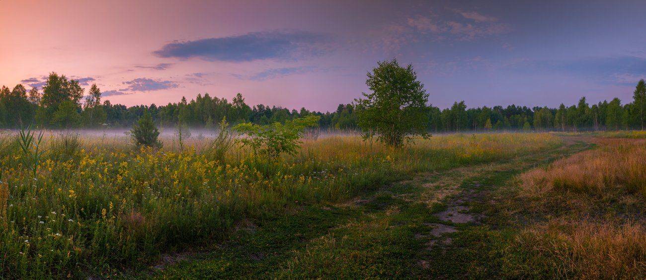 июль, лето, рассвет, Галанзовская Оксана