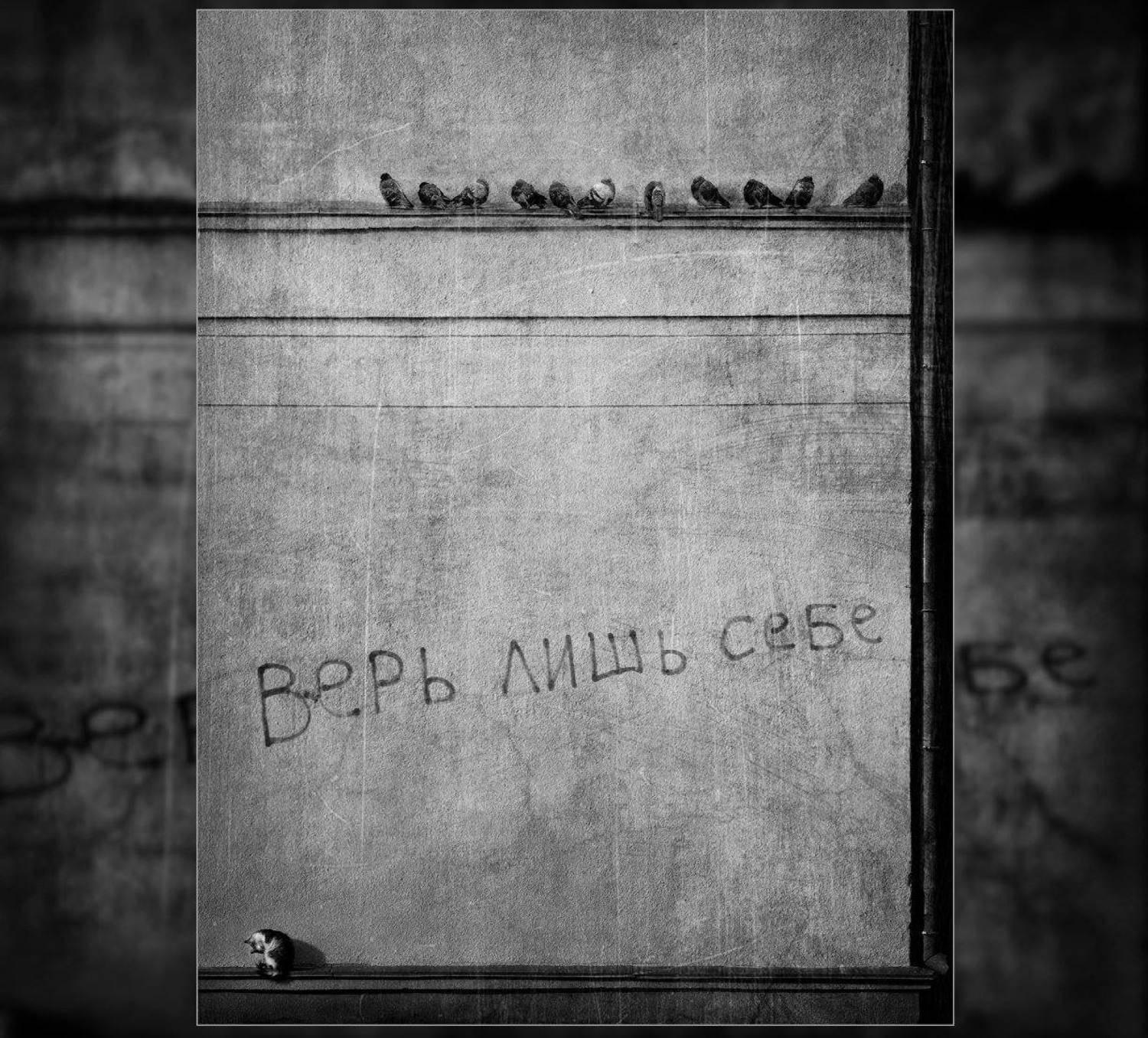 , Владислав Холодков