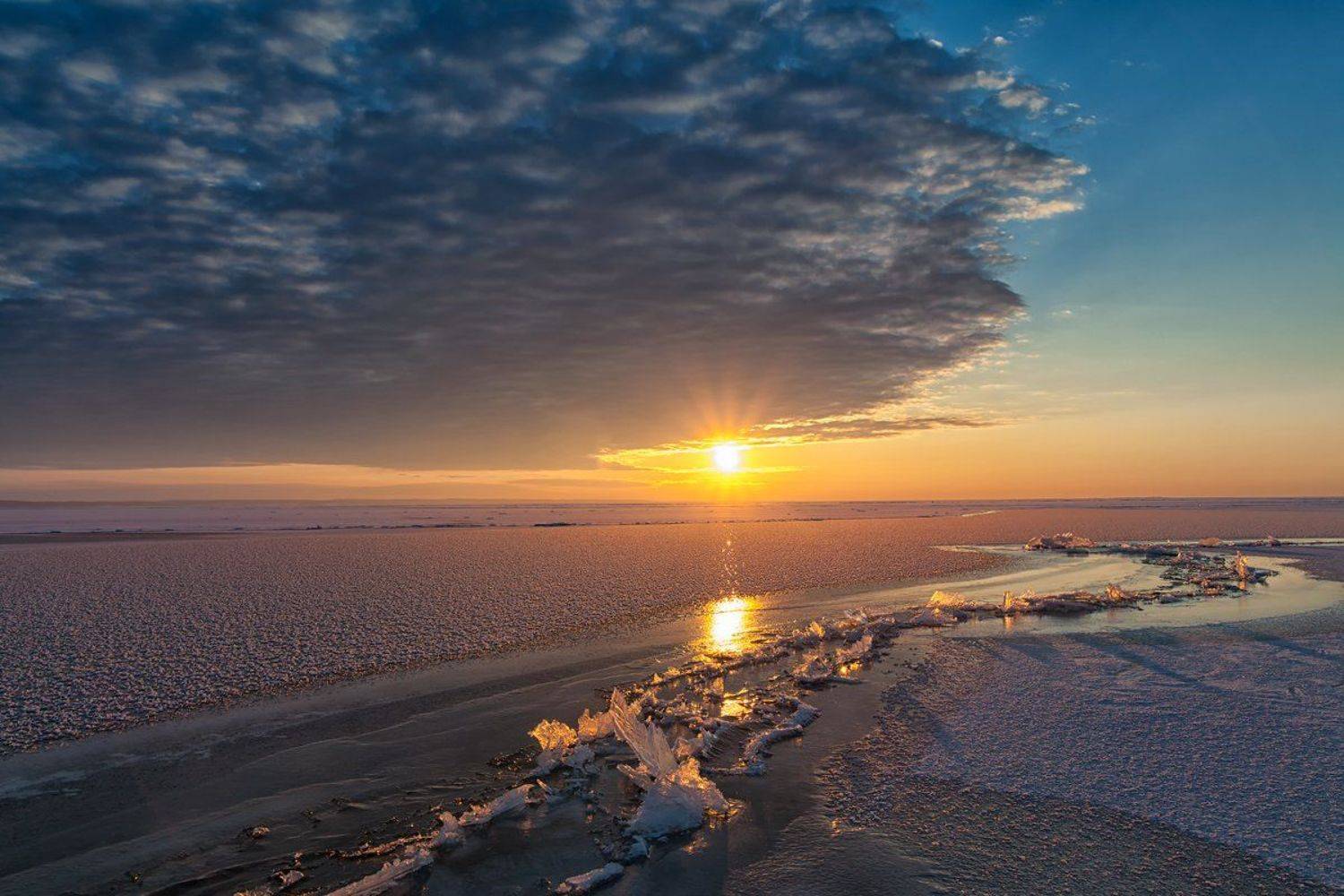 , Александр Войтенко