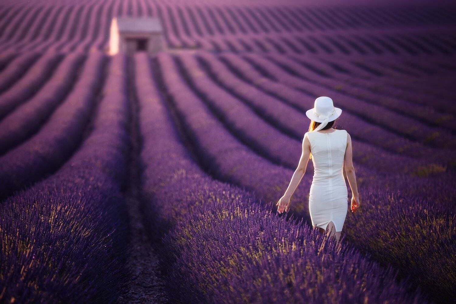 , Pawel Uchorczak