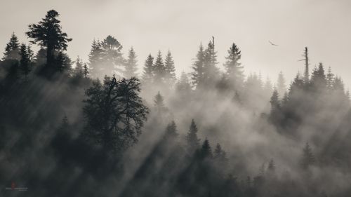 В лучах заходящего солнца