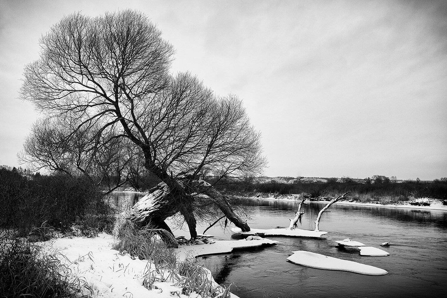 , Барабанов Алексей