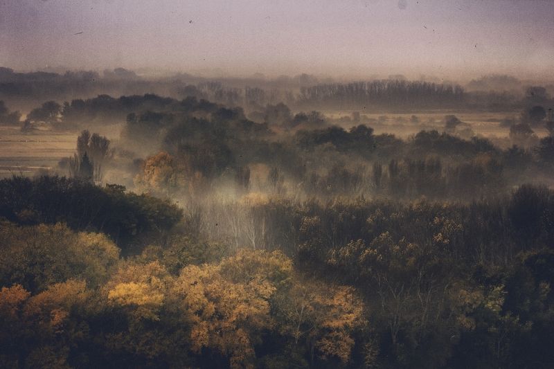 Grey day фото превью