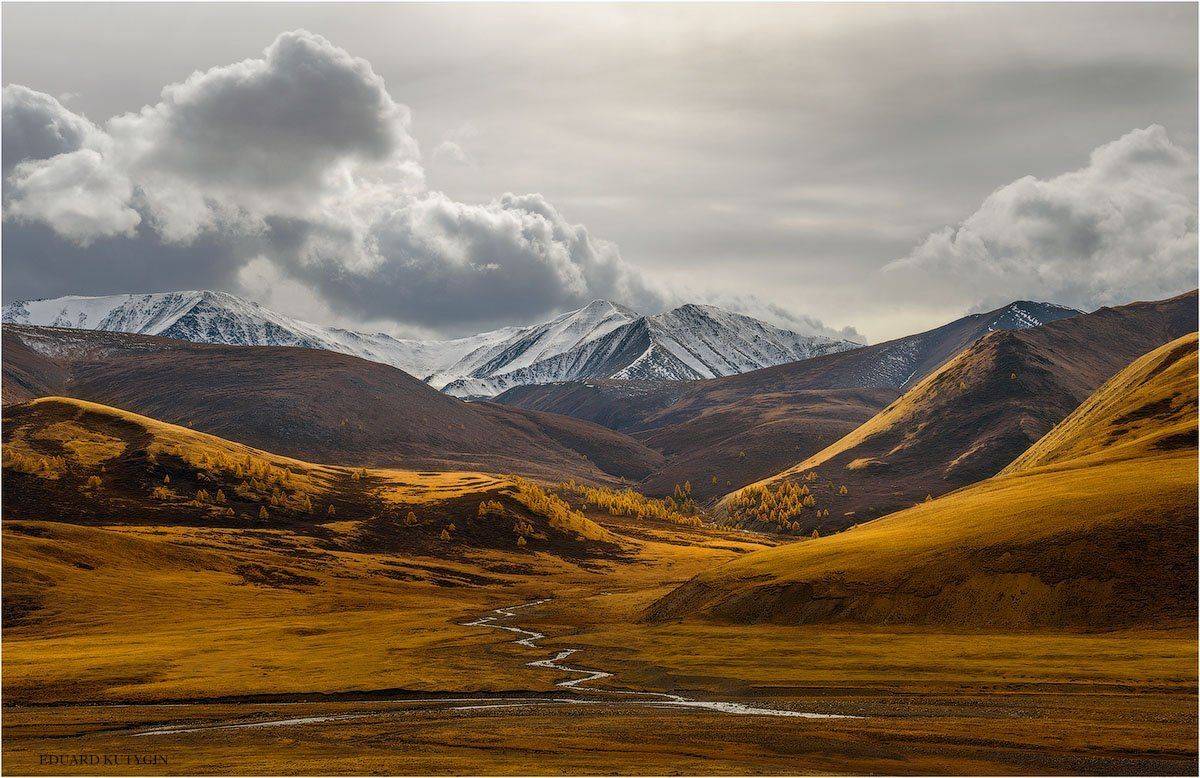 Кутыгин, Алтай, Алтайосенью, Осень, Золото, Чуя, республика, Nikon, лиственница, изгиб, меандры, бирюза, лазурь, сентябрь, на, Алтае, кокоря, Бугузун, Карагай, Карасу, Сайлюгем, Чихачёва, Чихачева, подорогевтуву, Туву, Тыву, Кутыгин Эдуард