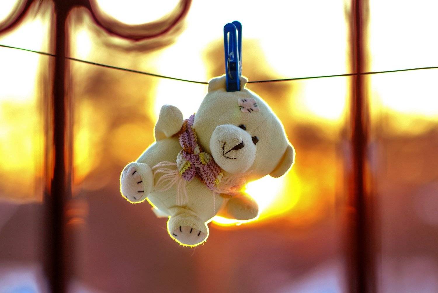 закат, зима, мороз, Александр Гвоздь