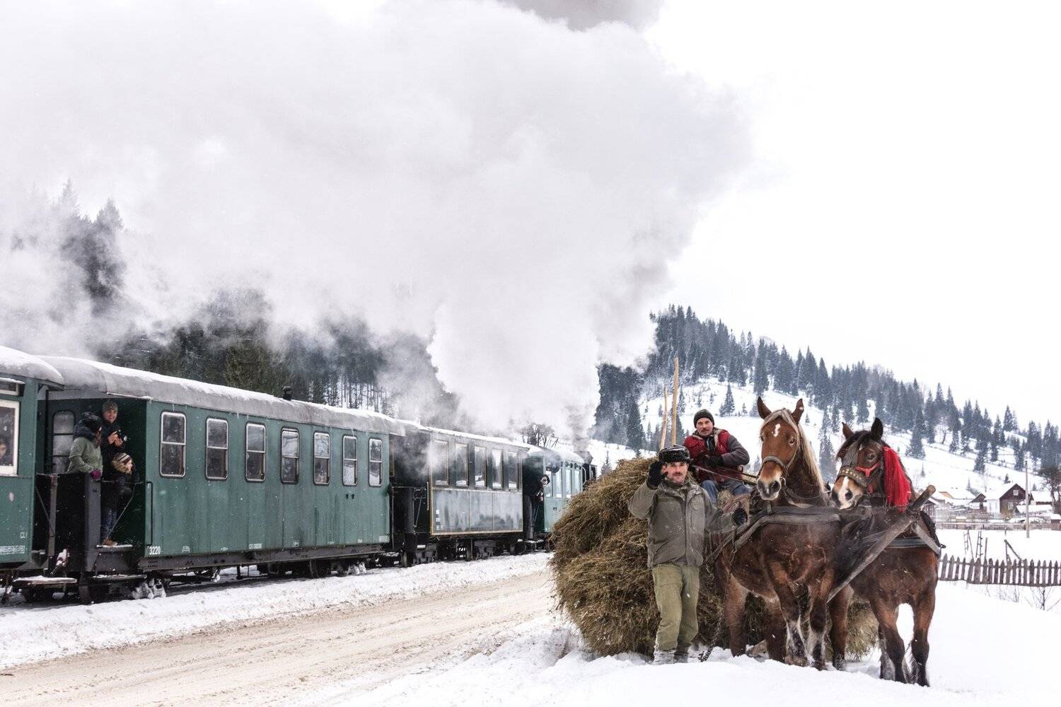 , Olari Ionut