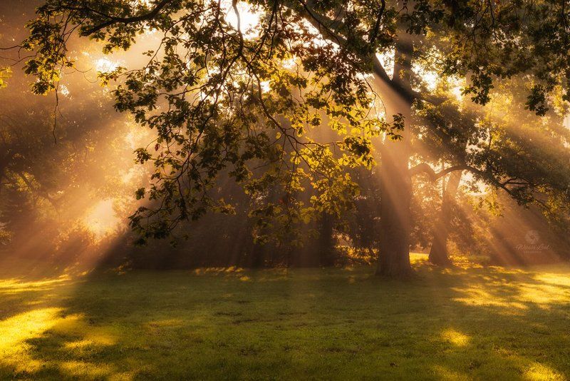 sun bath фото превью