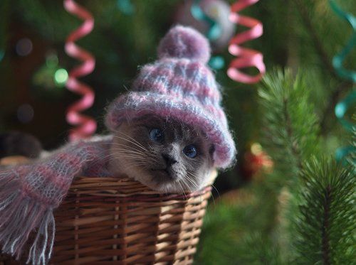 С наступающим Новым  годом!