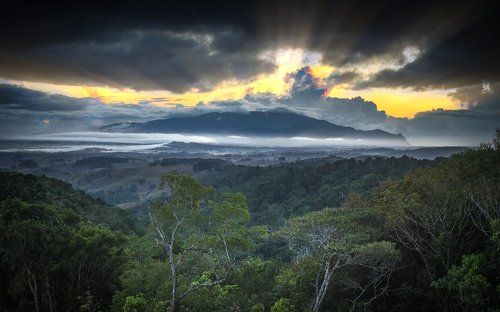 Mt Bartle Frere 
