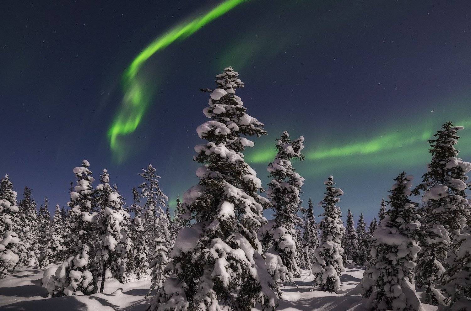 Северное сияние, Aurora borealis, Васильев Алексей