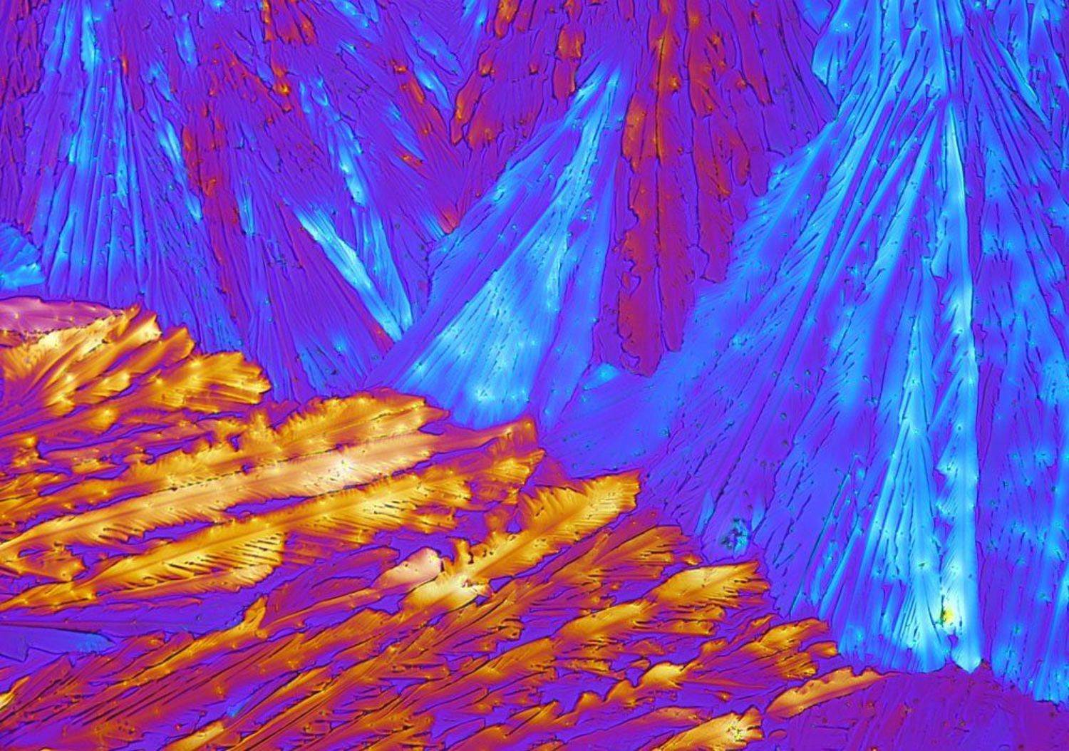 микрокристаллы парацетамол, Анатолий Михальцов
