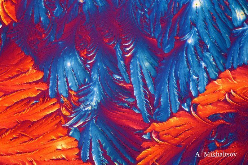 микрокристаллы гибберелловая кислота Сказочный микролес фото превью