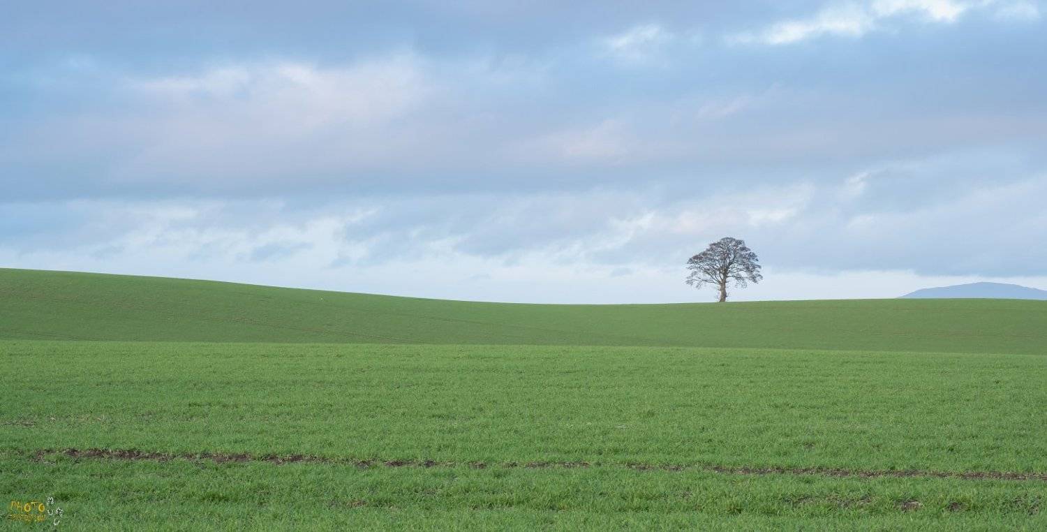 ирландия, фототур, закат , Евгений Ремизов