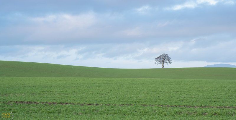 ирландия, фототур, закат  Кому заставку на десктоп? фото превью