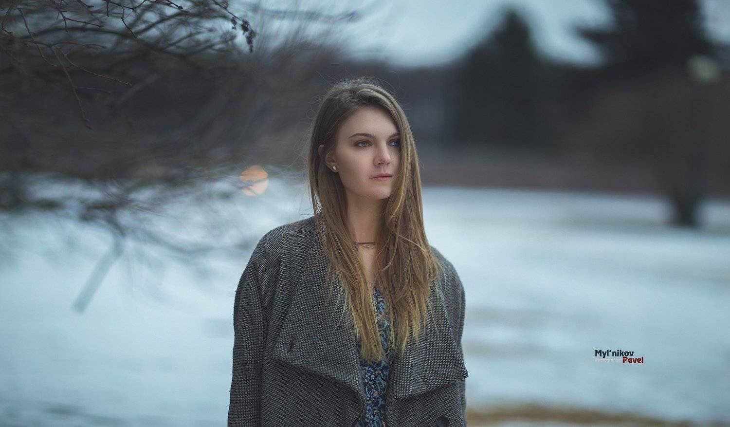 портрет, арт, portrait, art, My'lnikov Pavel