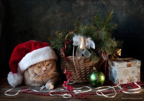С Новым годом!