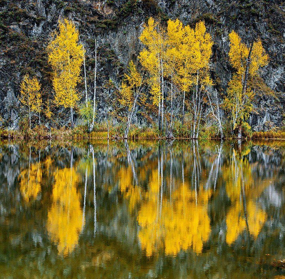 , Владимир Сковородников