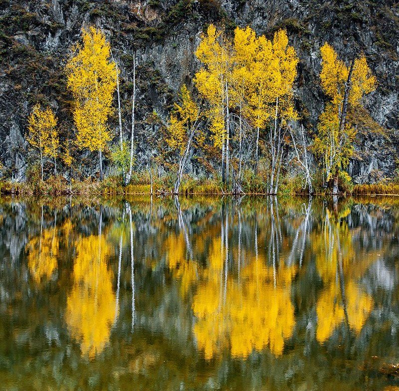 Отражение фото превью