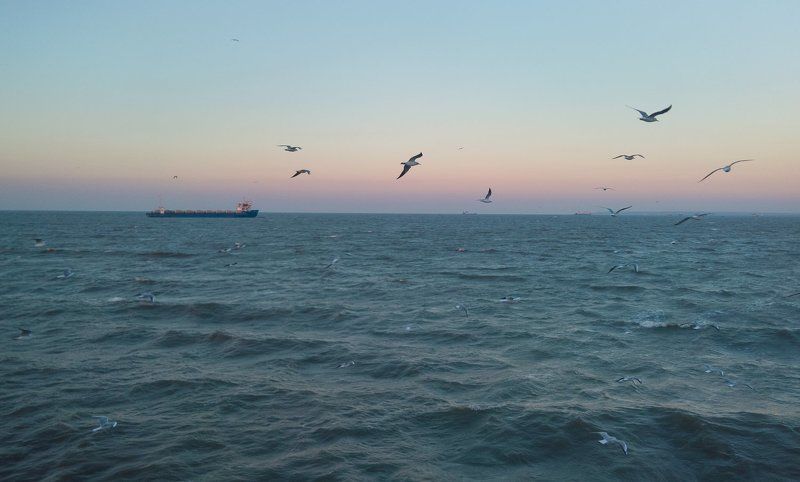 крым, море, горы, свет, закат, рассвет, природа, осень Пейзаж с чайками фото превью