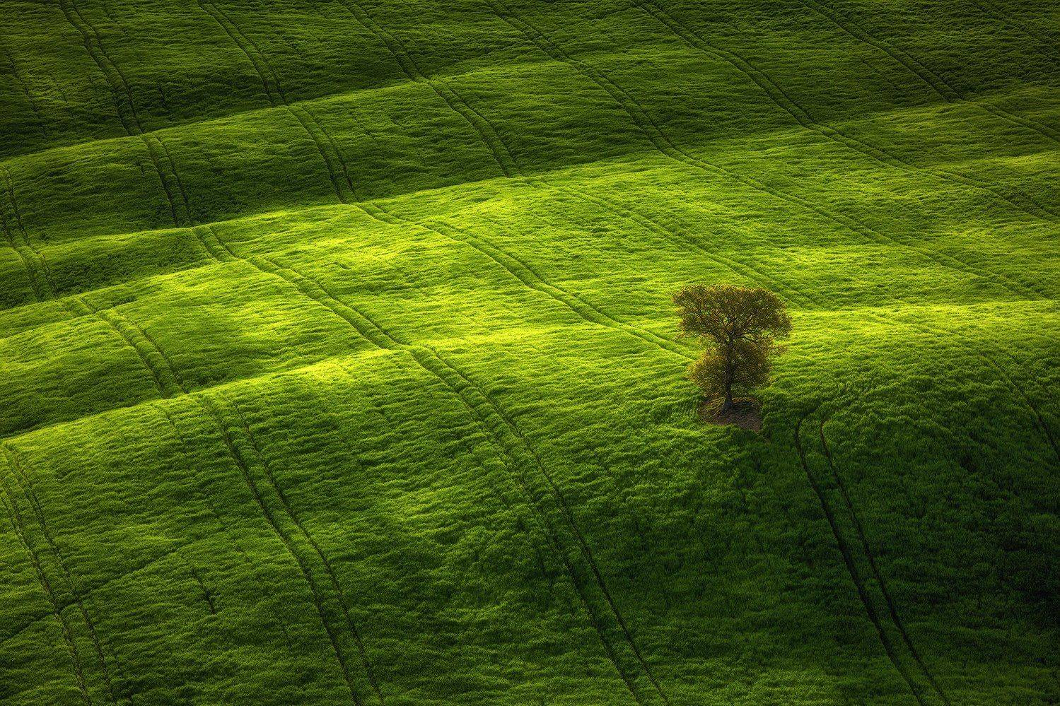 , Pawel Uchorczak