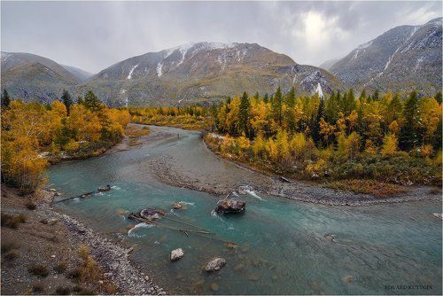 Алтайская лазурь