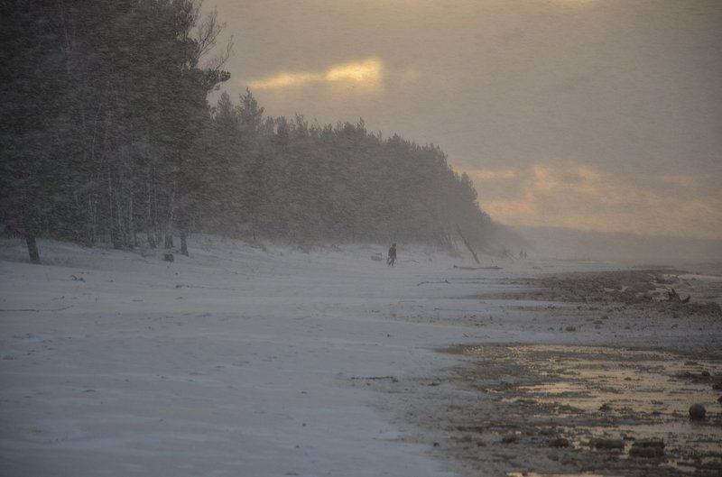 Ветер с моря дул (2) фото превью