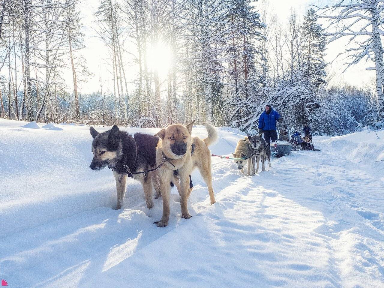 , Осипов Ёжъ Александр