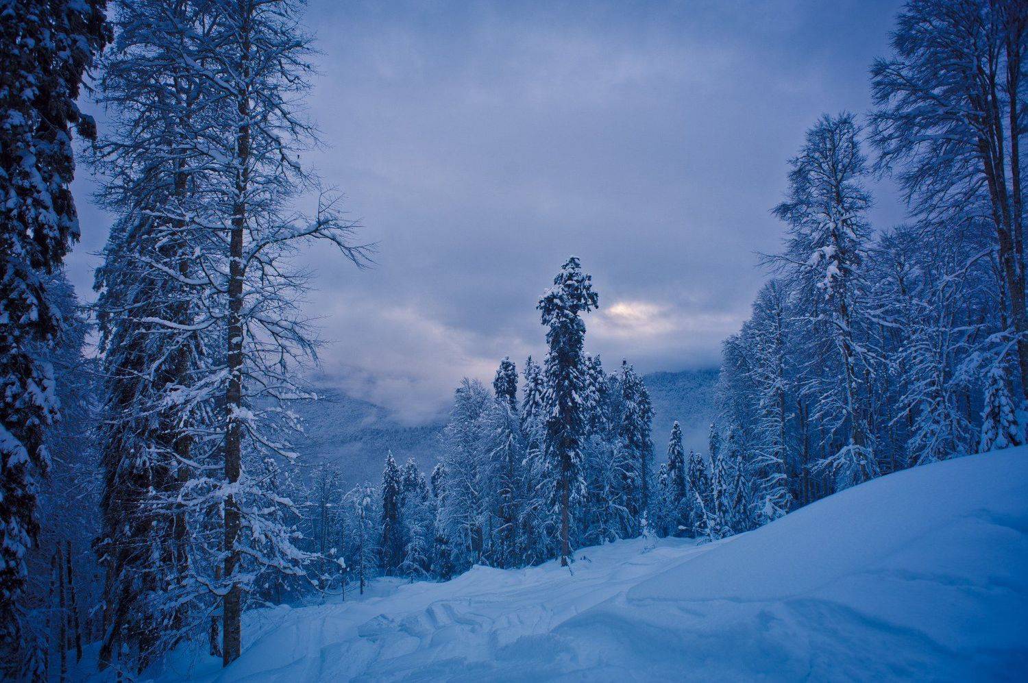 фрирайд, Дмитрий Жуков