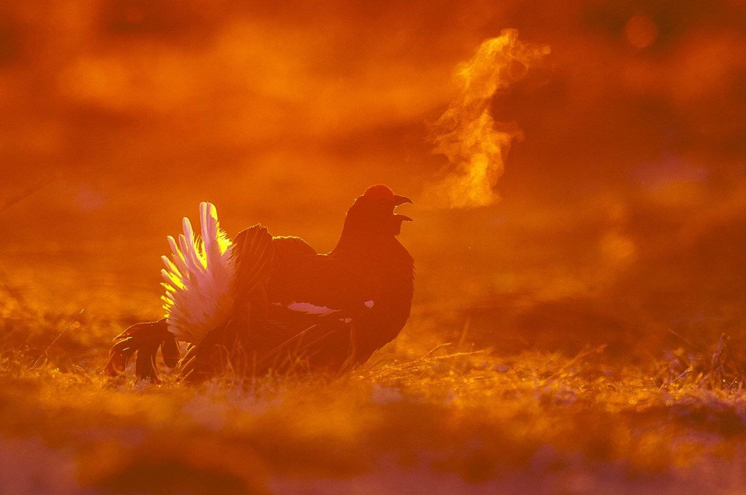 , Сергей Иванов