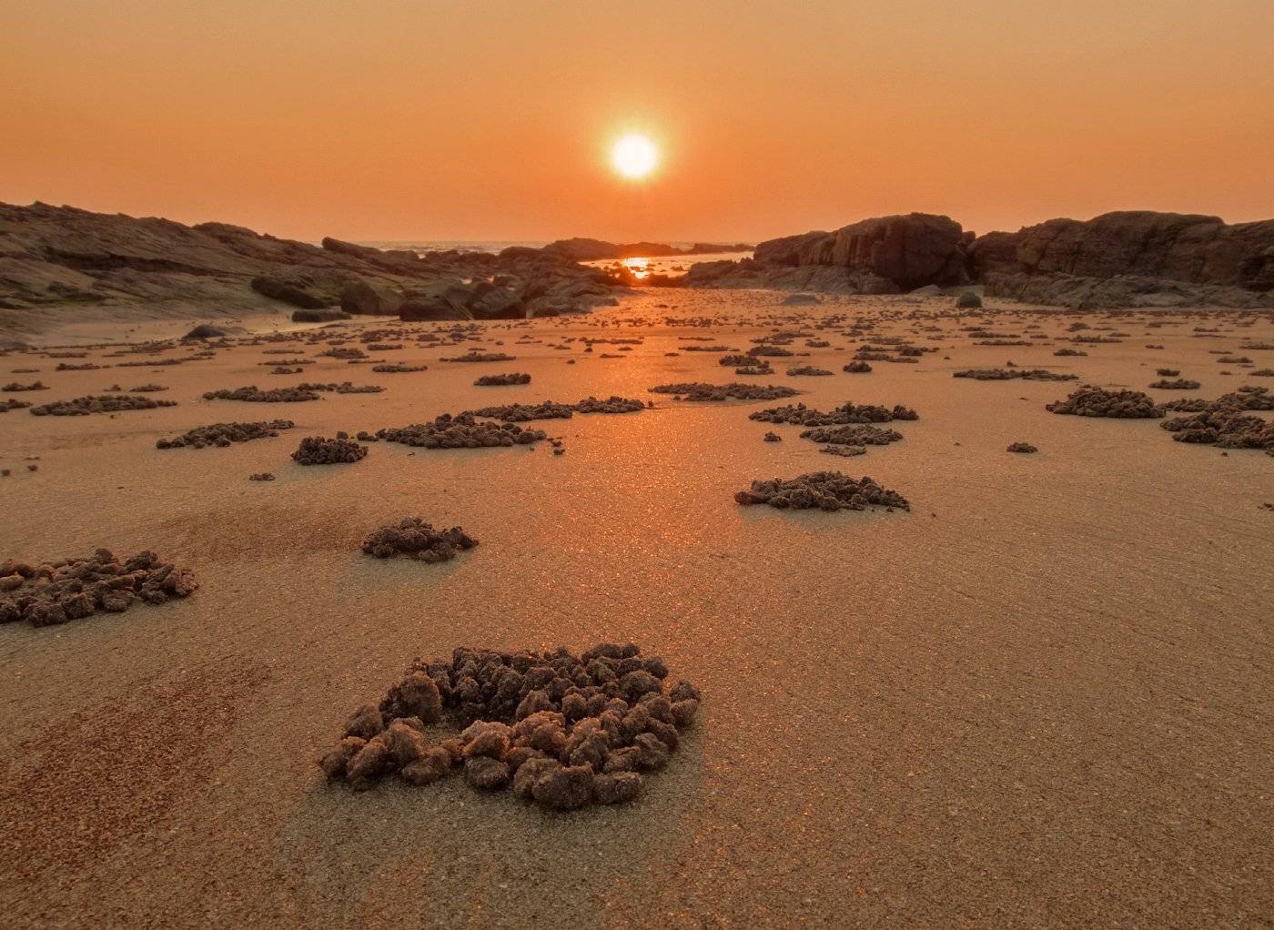 индия,закат,гоа,солнце,море, Игорь Подобаев
