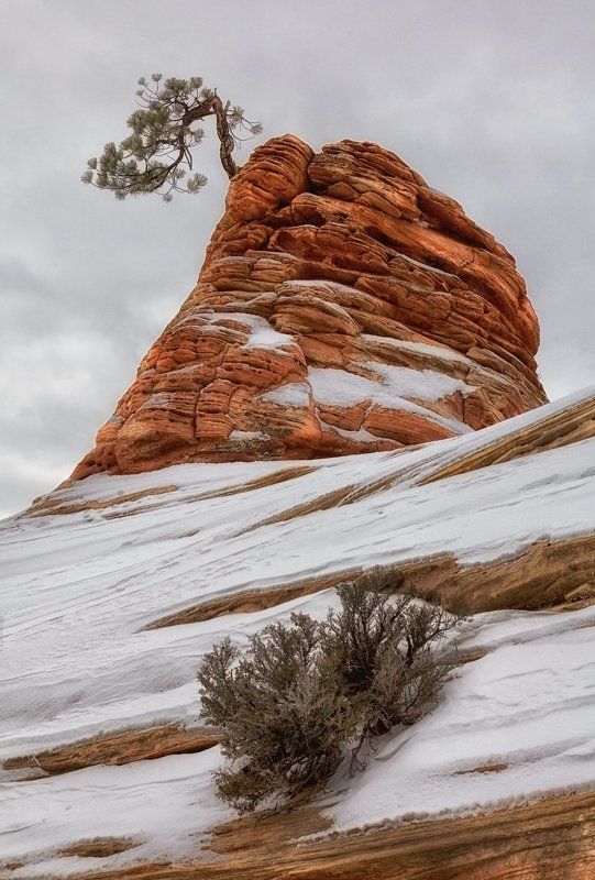 Новогодняя.. фото превью
