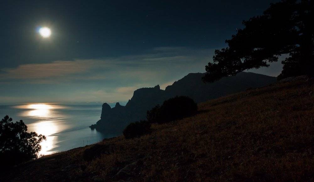 , Андрей Дитковский