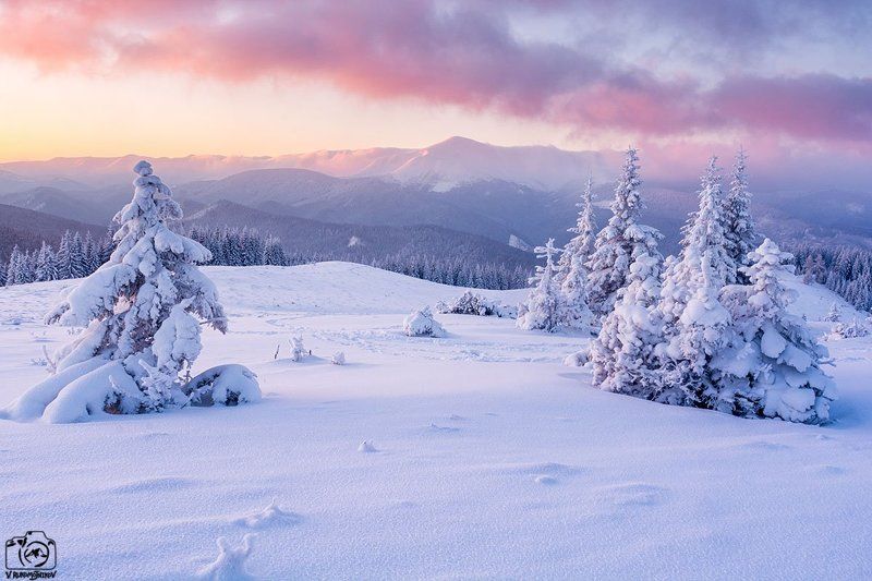 украина,карпаты, горы, кукул, черногора, зима, рассвет, Новогодняя фото превью