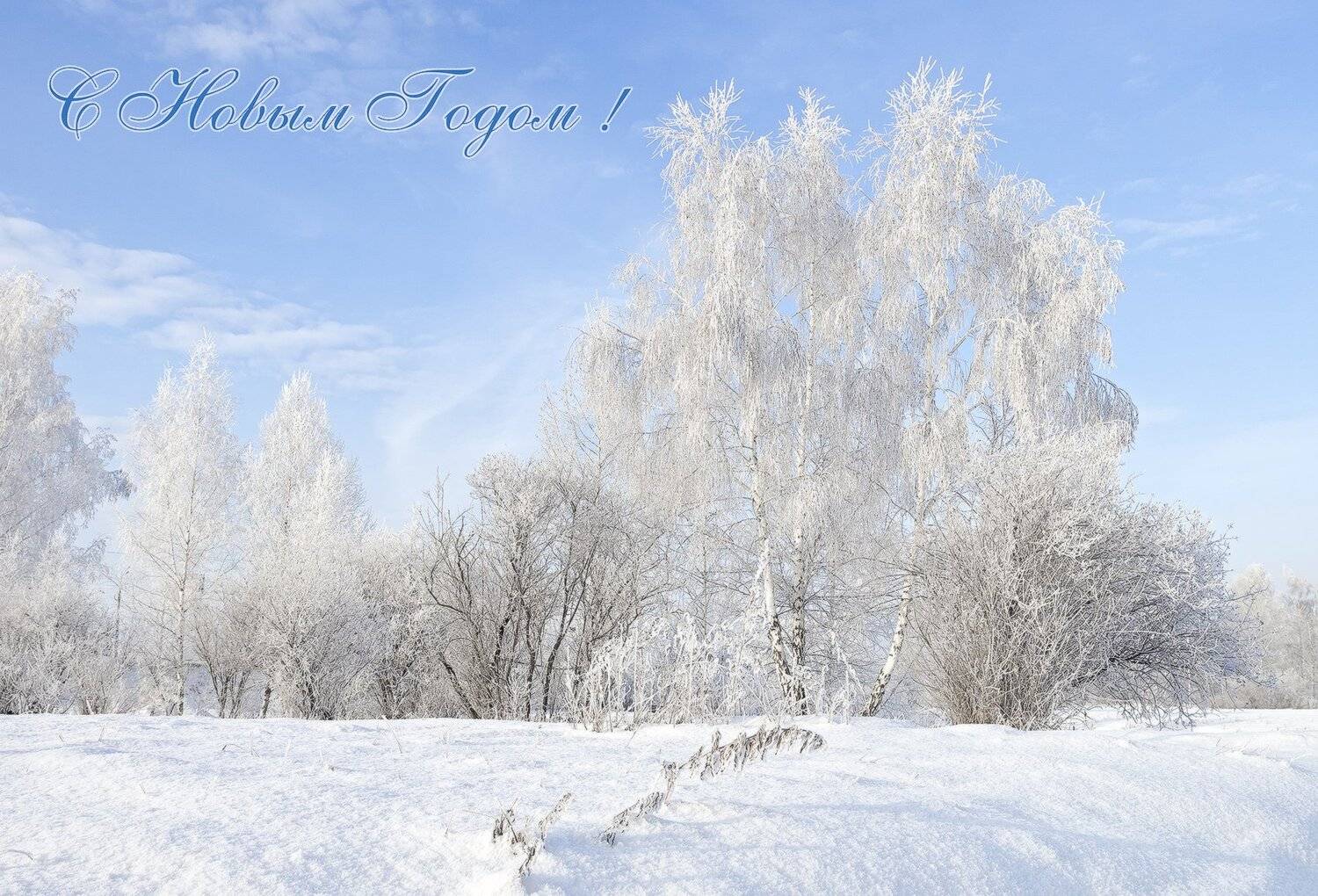 , Лещёнок Александр