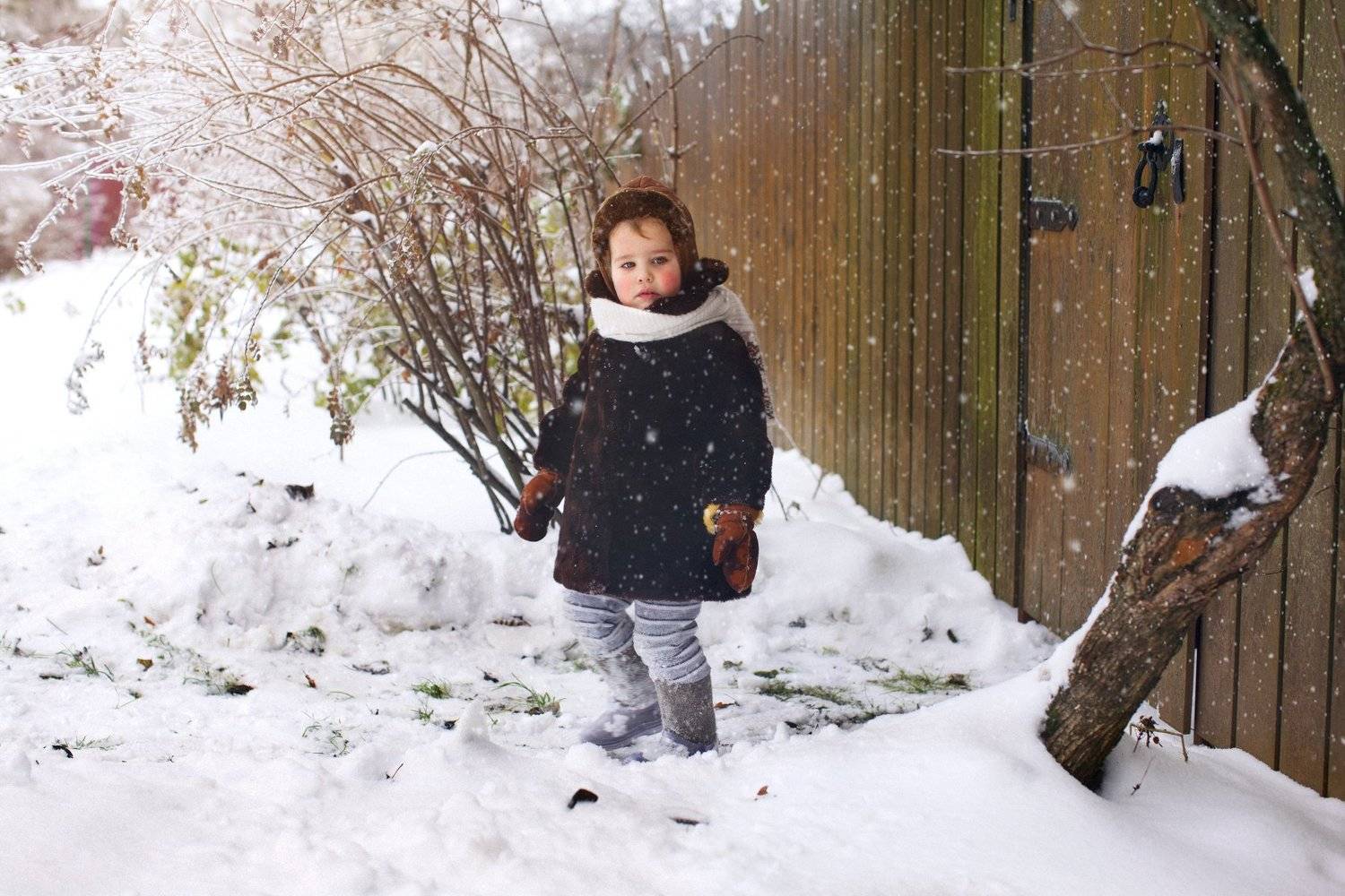 , Коровина Елена