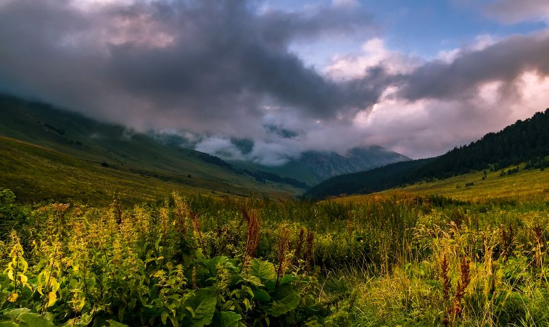 *** фото превью