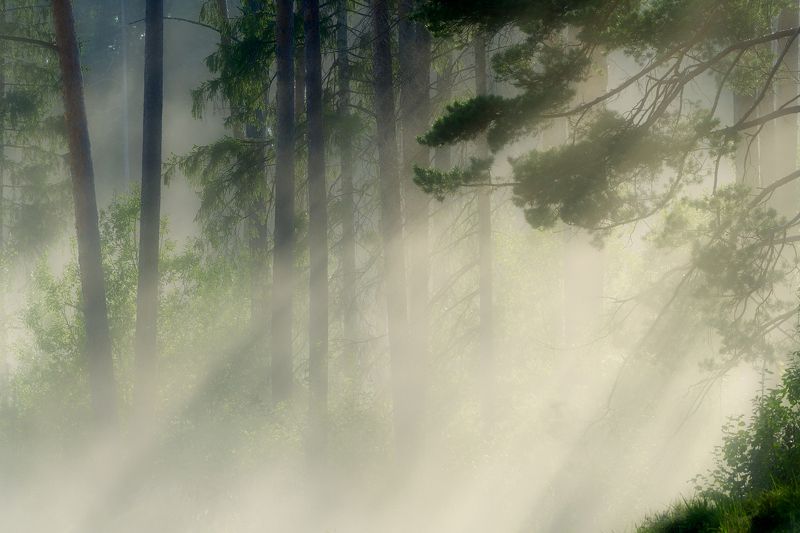 * * * фото превью