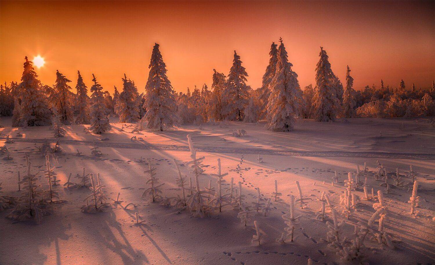 с новым годом, друзья!, Евгений Кужилев
