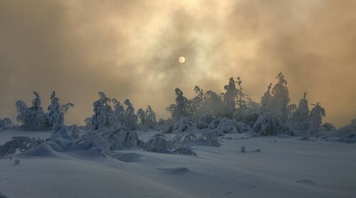 С наступающим Новым Годом!