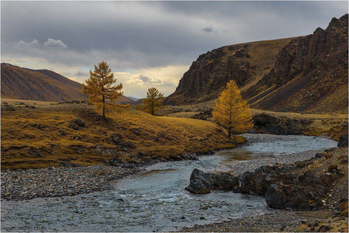 Кутыгин, Алтай, Алтайосенью, Осень, Золото, Чуя, республика, Nikon, лиственница, изгиб, меандры, бирюза, лазурь, сентябрь, на, Алтае, кокоря, Бугузун, Карагай, Карасу, Сайлюгем, Чихачёва, Чихачева, подорогевтуву, Туву, Тыву, Кутыгин Эдуард