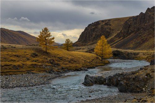 Три сестрички