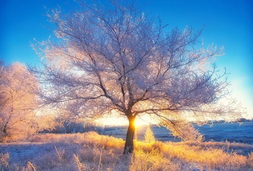 Сказочное утро