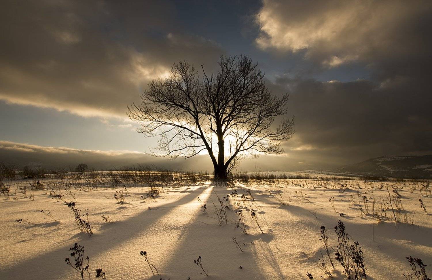 landscape, nature, poland, mountains, clouds, sky, light, sunset, winter, snow gold, Jacek Jędrzejczak
