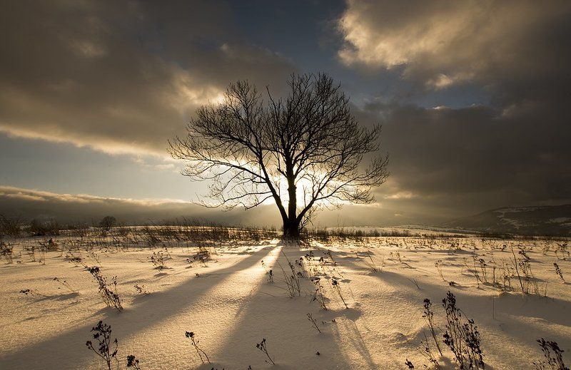 landscape, nature, poland, mountains, clouds, sky, light, sunset, winter, snow gold Golden hour. фото превью