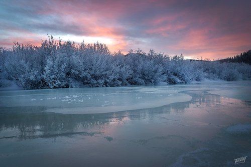 Winters of Mongolia