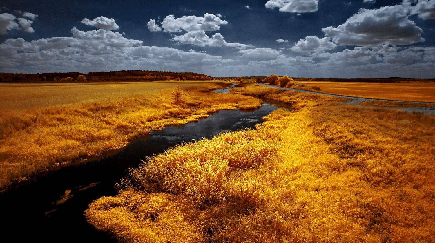 infrared,ик-фото,инфракрасное фото,инфракрасная фотография,пейзаж,природа,беларусь,лето, Sixten ( Сергей )