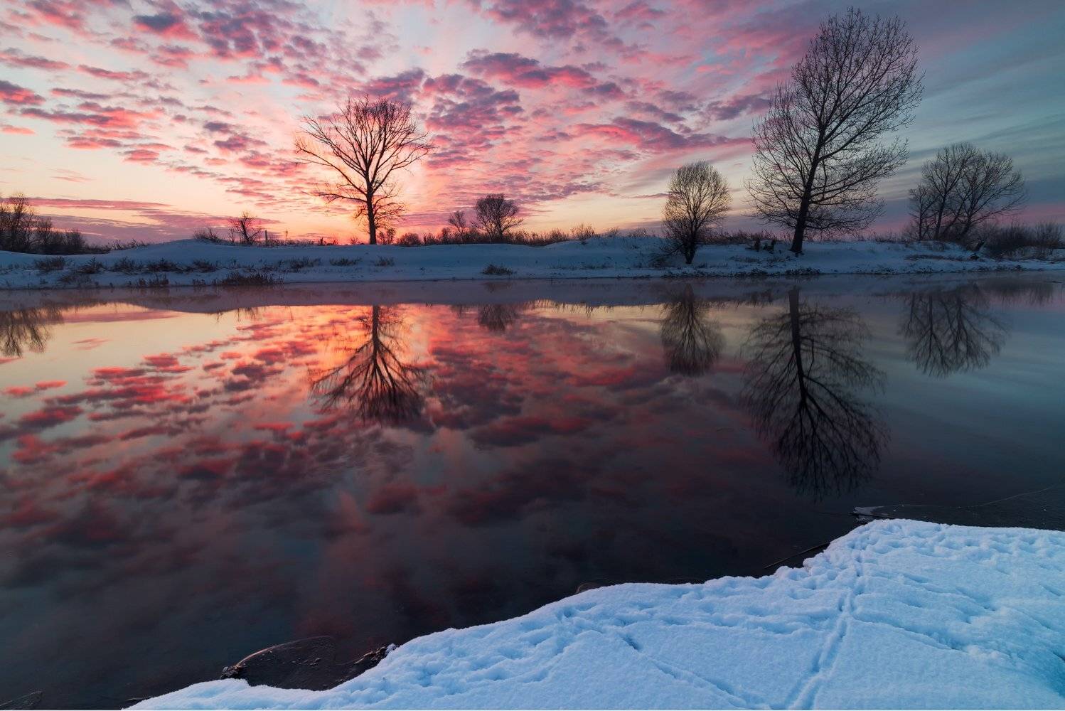 , Красимира Минева