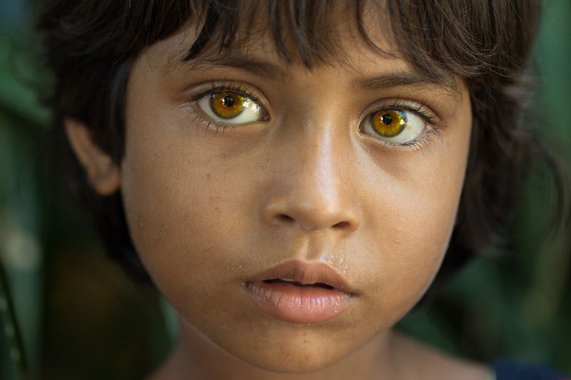 Beautiful Eyes фото превью